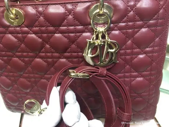 Tony Luxuries BAG diro LADY LARGE 0409